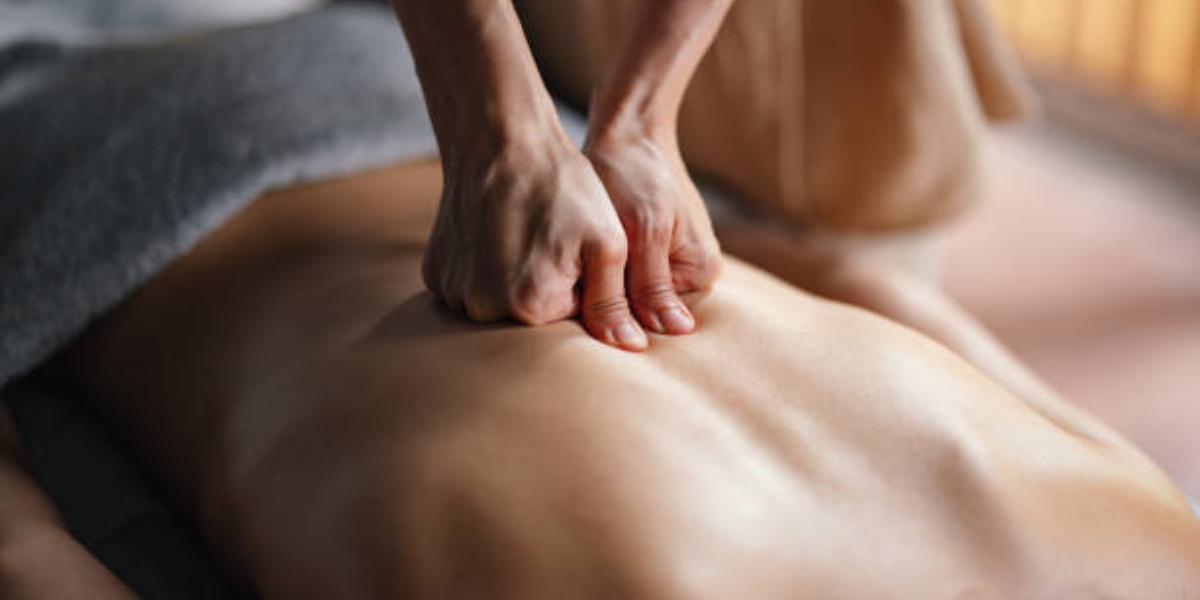 Spa In Andheri East