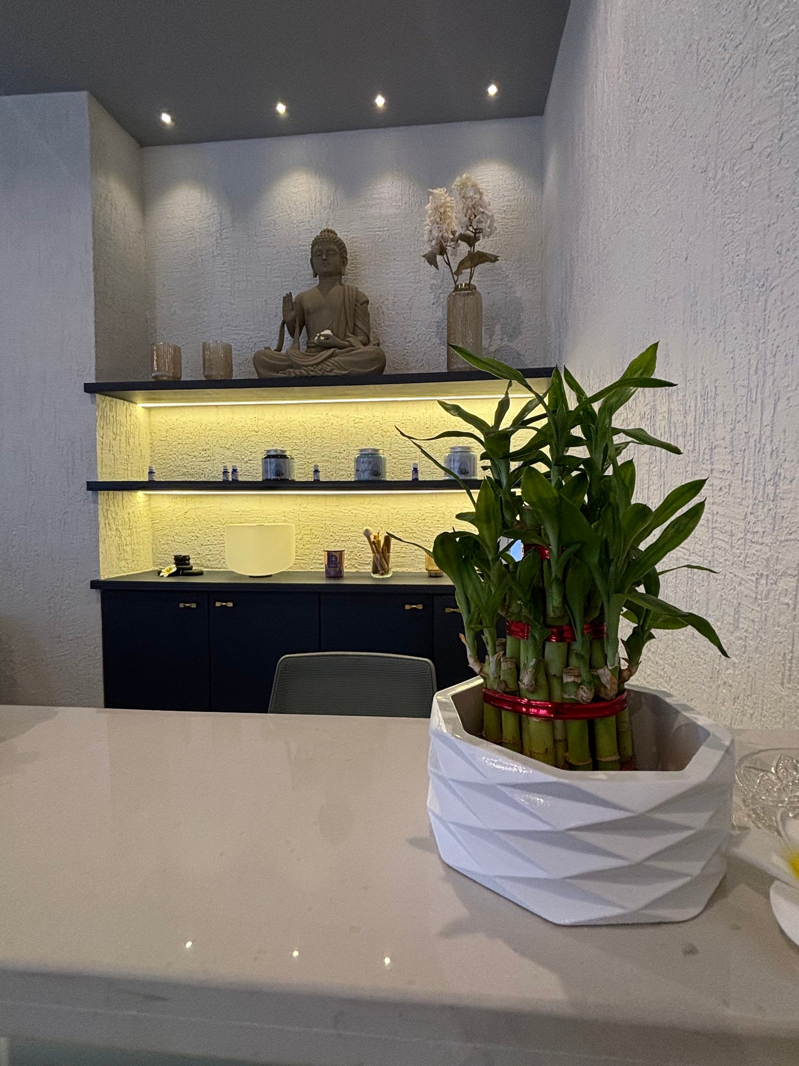 Premium wellness therapy space Powai