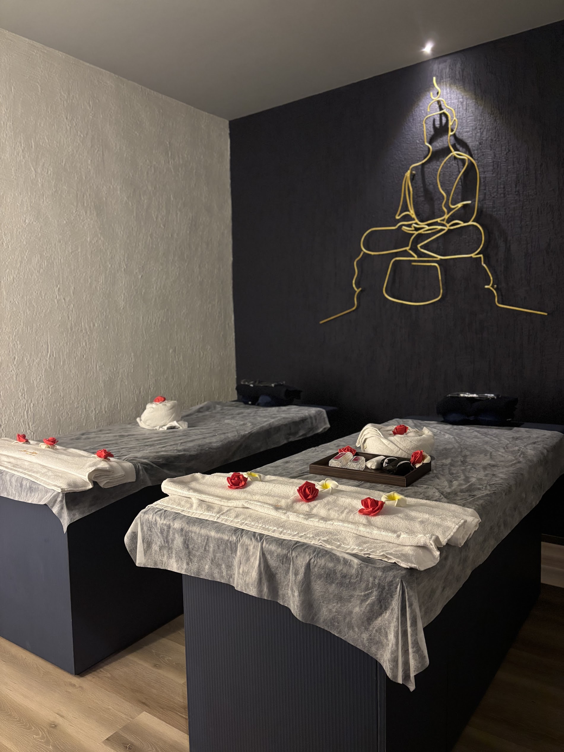 Premium wellness therapy space andheri west